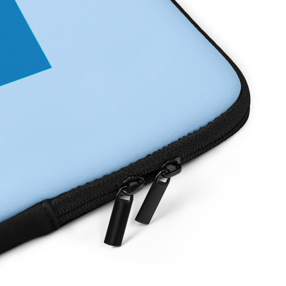 Laptop Case 2
