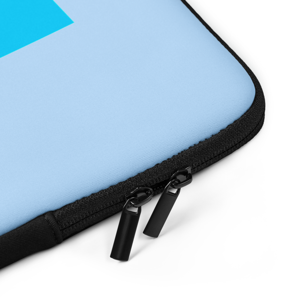 Laptop Case 4